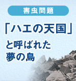 害虫問題 「ハエの天国」と呼ばれた夢の島